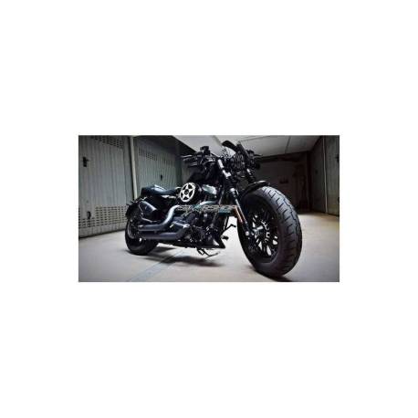 Saute Vent Dart Modèle Piranha Harley-Davidson Sportster Xl883 Et 1200 Sauf C