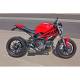 Ducati Monster 696 Ex-Box Evoluzione Homologué