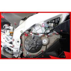 Kit visserie moteur Ducati Monster S4 Evotech