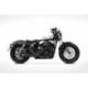 Ligne d'échappement complète inox homologue Kit sport Zard Harley Davidson sportster